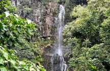 Maui Road to Hana VIP Private Tour in Convertible Bronco