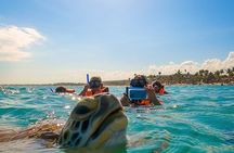 Private Tulum Akumal Cenotes Experience
