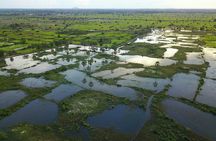 Full-Day Private Tour from Siem Reap to Battambang