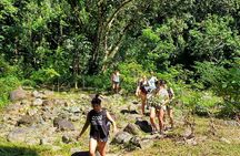 El Yunque Ziplining with River and Beach Visit