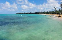 El Yunque Ziplining with River and Beach Visit