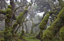 3 Day Bale Mountains Tours
