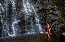 Batumi, Waterfalls & Folklore - A Group Tour from Kutaisi