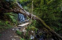 Batumi, Waterfalls & Folklore - A Group Tour from Kutaisi