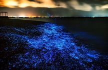 Phuket: Phang Nga Bay Bioluminescent Plankton and Sea Canoes tour