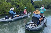 6-Hr Tropical Mangroves, Coastal River and Ocean Wildlife Watch 