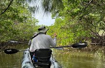 8-Hour Jungle Tour and Lagoon Passage to the Ocean in Fort Pierce