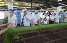 Galle Day Tour with River Safari, Tea Plantation & Sea Turtle