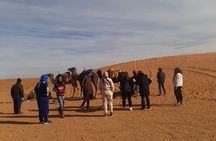 5 Hour Sunset Tour with Camel Ride and Dinner In Desert