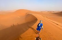 5 Hour Sunset Tour with Camel Ride and Dinner In Desert