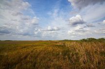 Flamingo Everglades Boat Tours