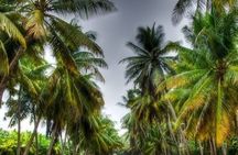 Private Tour in Salalah City with Pick Up