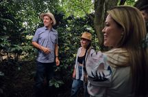 Tour Café de Altura Old House Finca