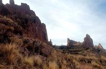 Aymara's route 1 day tour in Puno: Inca Uyo, Aramu Muru, Molloco