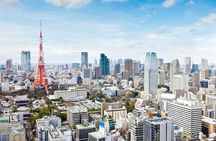 Tokyo 8hr Private Tour with Government-Licensed Guide
