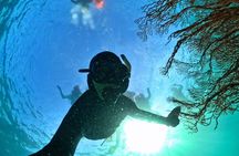 Phu Quoc: Discovery Snorkeling Tour with Island BBQ (Max 12 pax)