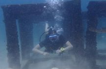 2 Days Guided Advanced Open Water Course in Thailand