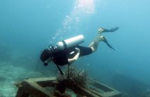 Dive Trip Experience in Koh Tao