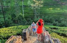Kandy to Nanu Oya Shuttle & Nuwara Eliya Sightseeing Tour