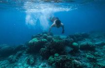 Luxury Cruise inc. Snorkeling/Massage/Island/water sport & Lunch