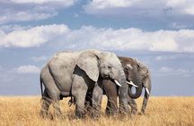 2 Day Tanzania Tour