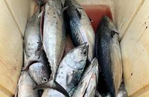  Private Experience - day of fishing on the Bari coast