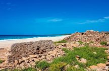 Full Day Boa Vista Island Guided 4X4 Tour with Beachfront Lunch