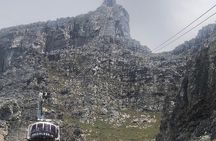 Small Group Table Mountain Penguin Colony and Cape Point Tour