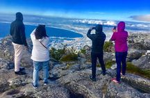 Small Group Table Mountain Penguin Colony and Cape Point Tour
