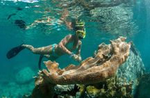 Afternoon Turtle Snorkel Sail from Westin Frenchman's Reef