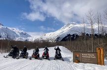 Snowmobile and Snowshoe Dual Adventure in Kenai Fjords NP