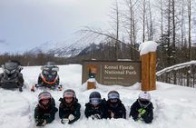 Snowmobile and Snowshoe Dual Adventure in Kenai Fjords NP