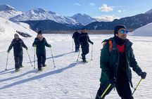 Snowmobile and Snowshoe Dual Adventure in Kenai Fjords NP