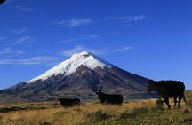 ebike Tour 4 days: Cotopaxi, Quilotoa, Chimborazo, Baños