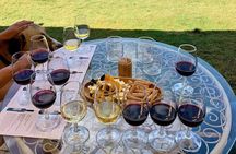 Wine Tasting Tour at Two Wineries in Urla Turkey