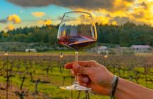 Wine Tasting Tour at Two Wineries in Urla Turkey