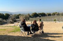Wine Tasting Tour at Two Wineries in Urla Turkey