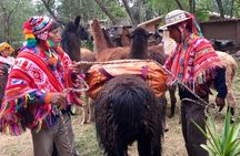 Half Day Andean Llama Trek in the Sacred Valley 