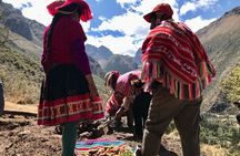Half Day Andean Llama Trek in the Sacred Valley 