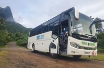 Moorea Island Tour