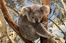 Private Blue Mountains Day Trip VIP from Sydney luxury