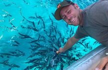 Sea trip EN Propriano 2h