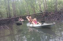Half-day 4 Hours Kilim Mangrove Kayaking (Without hotel pickups)