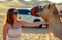 Abu Dhabi Evening Desert Safari - Private car Dune bashing & BBQ