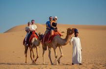 Abu Dhabi Evening Desert Safari - Dune bashing Camel ride and BBQ