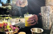 HERBS LAB - from plant to glass