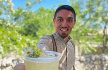 HERBS LAB - from plant to glass