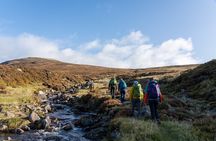 Cairngorms Hiking Day Trip from Edinburgh with Mountain Guide