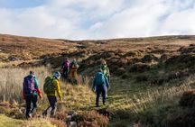 Cairngorms Hiking Day Trip from Edinburgh with Mountain Guide