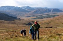 Cairngorms Hiking Day Trip from Edinburgh with Mountain Guide
